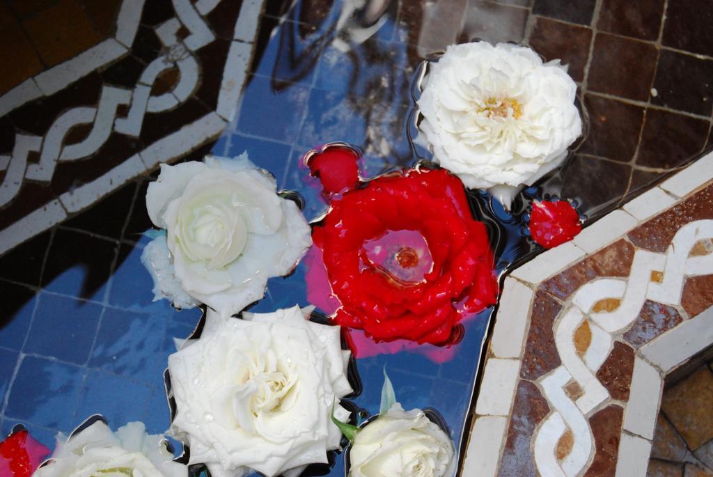 리아드 비바 호텔 마라케시 외부 사진 Roses at the fountain